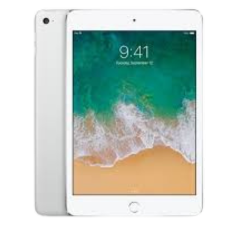 iPad Mini 7.9″ 2nd Gen 2013