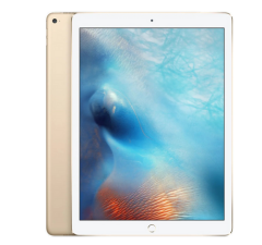 iPad Pro 12.9″ 1st Gen 2015